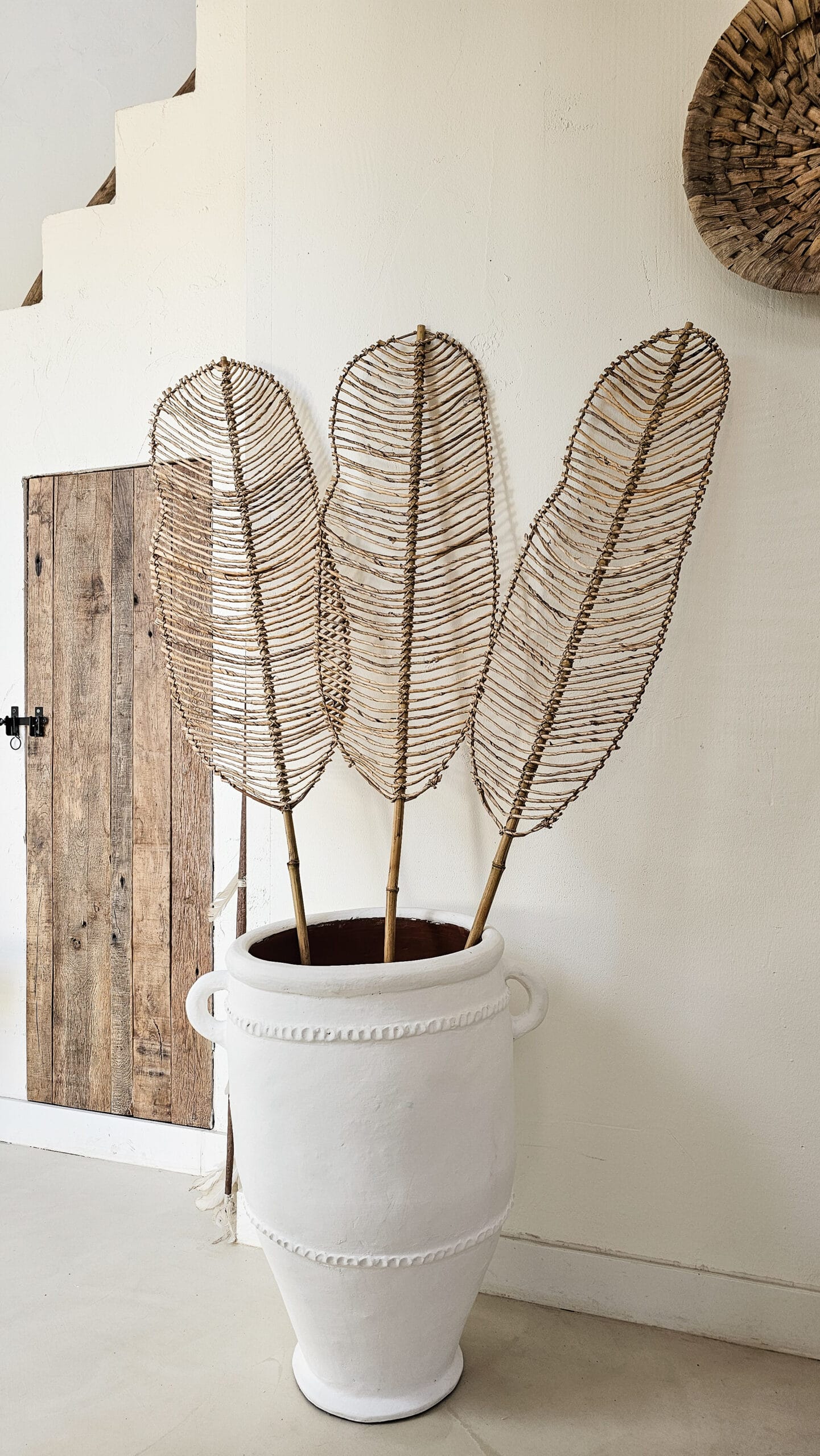 MONKEY TREE LEAF