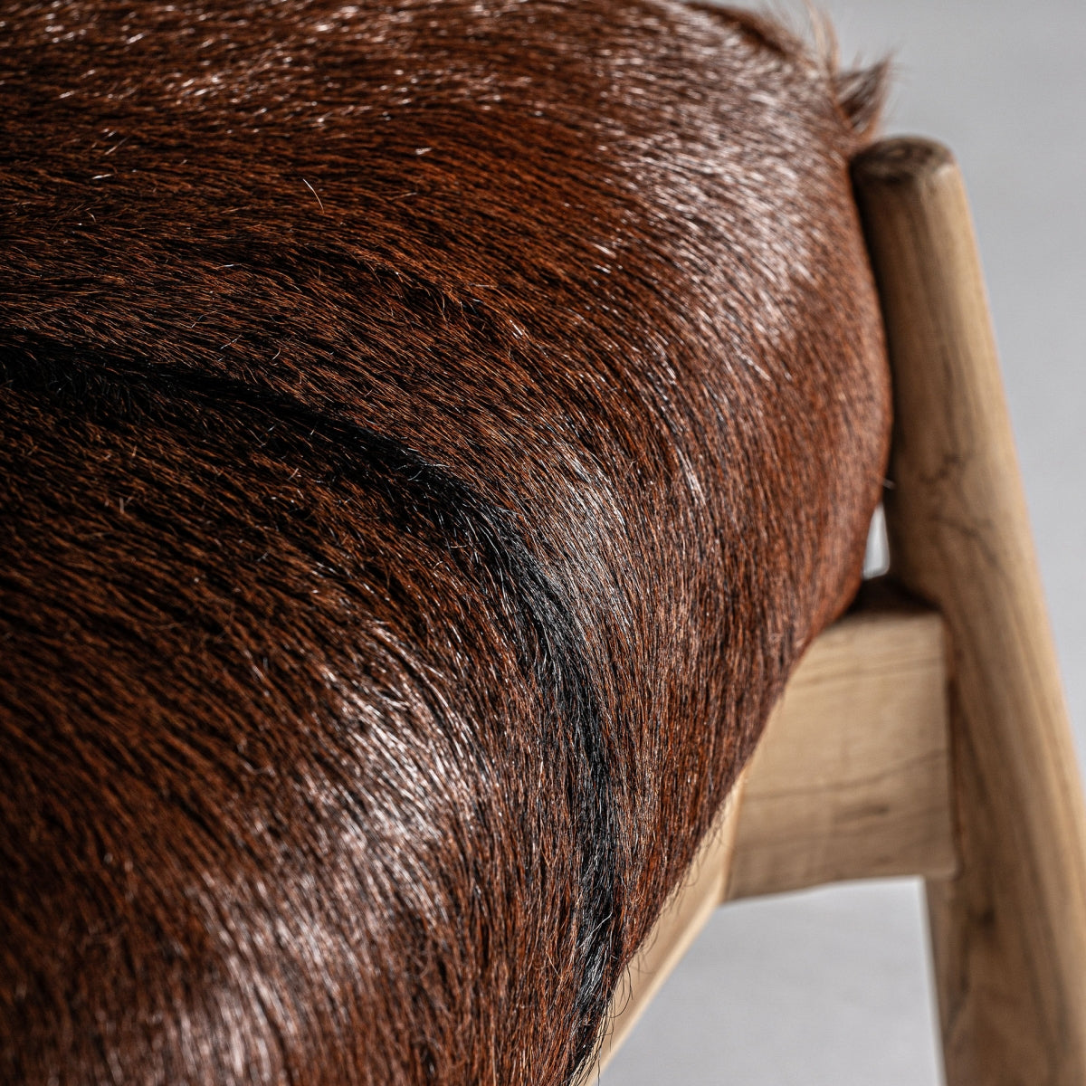 NORDIC PAYERNE ARMCHAIR
