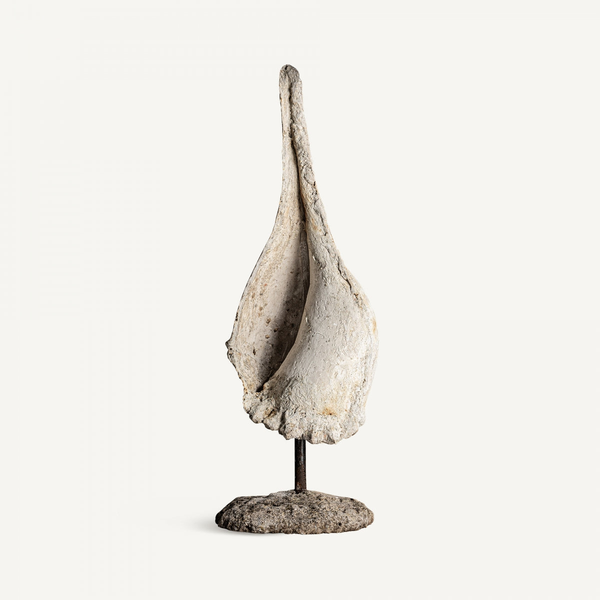 UNIQUE DECORATIVE FIGURE CONCH 100