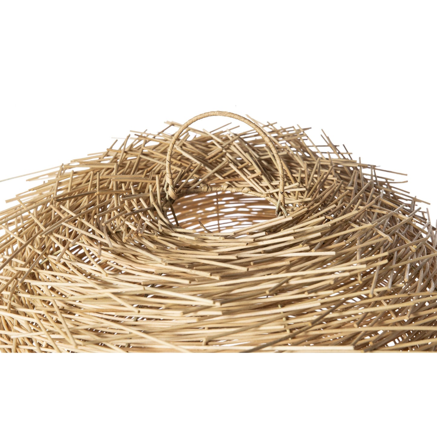 NEST