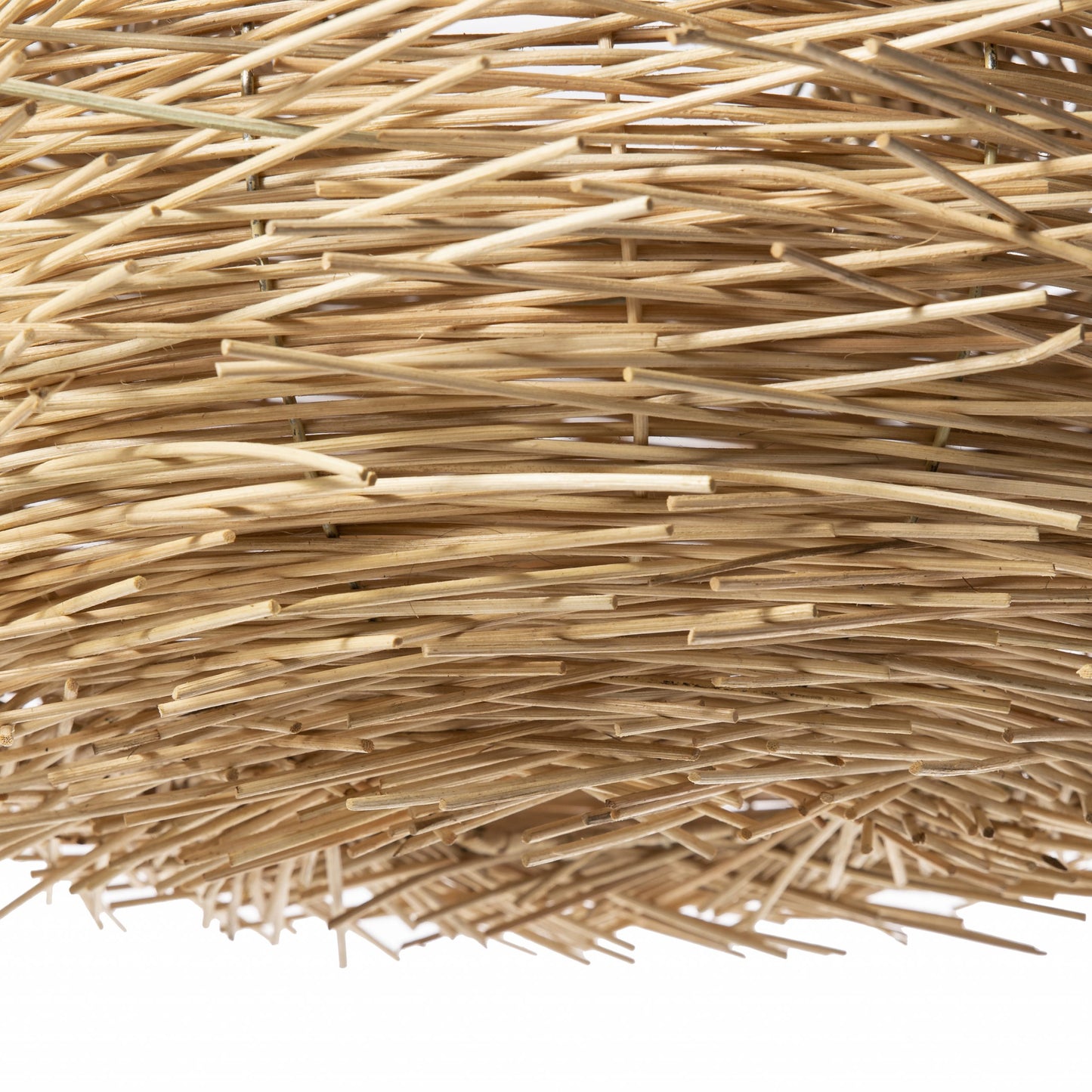 NEST