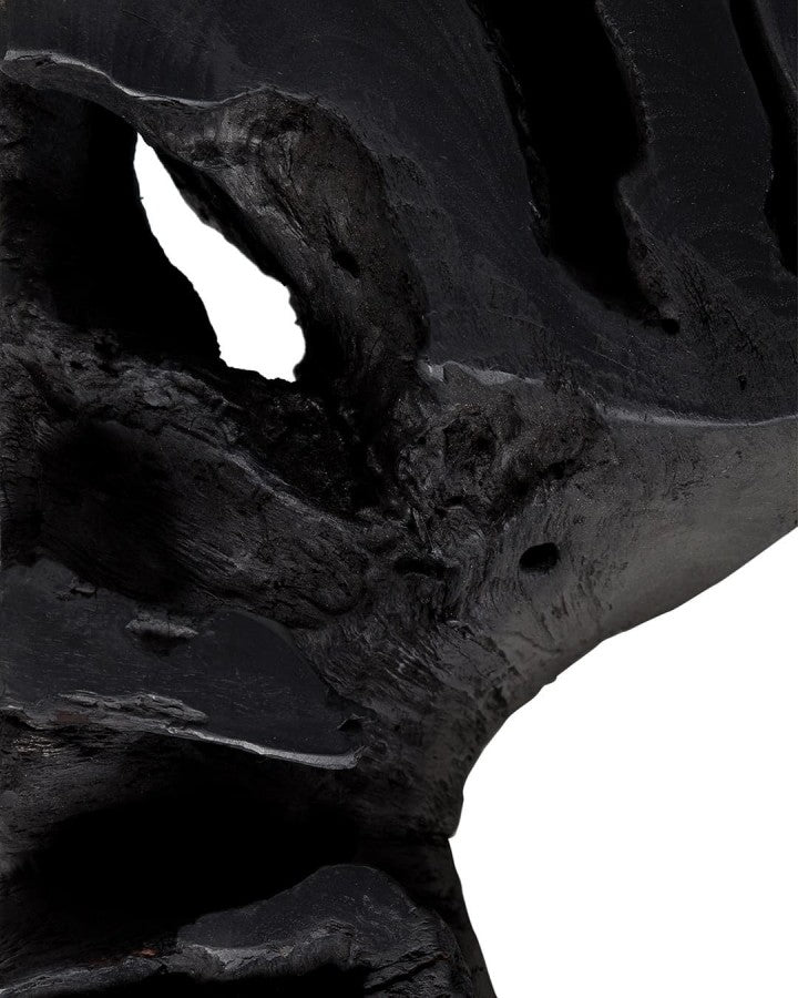 ROOT BLACK COFFEE TABLE