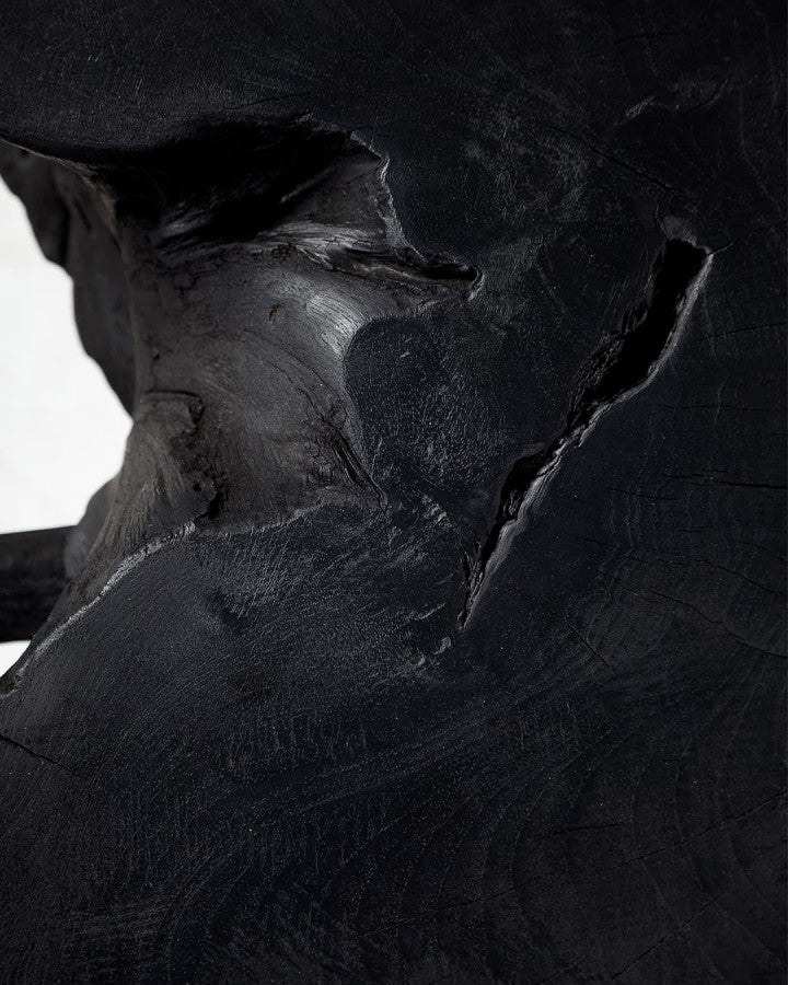 ROOT BLACK COFFEE TABLE
