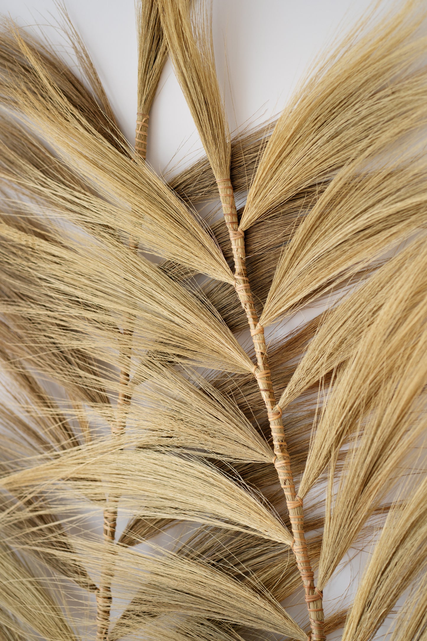 PLUME NATURAL 16O SET 2