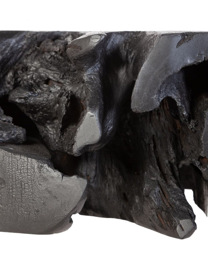 ROOT ROUND BLACK SIDE TABLE
