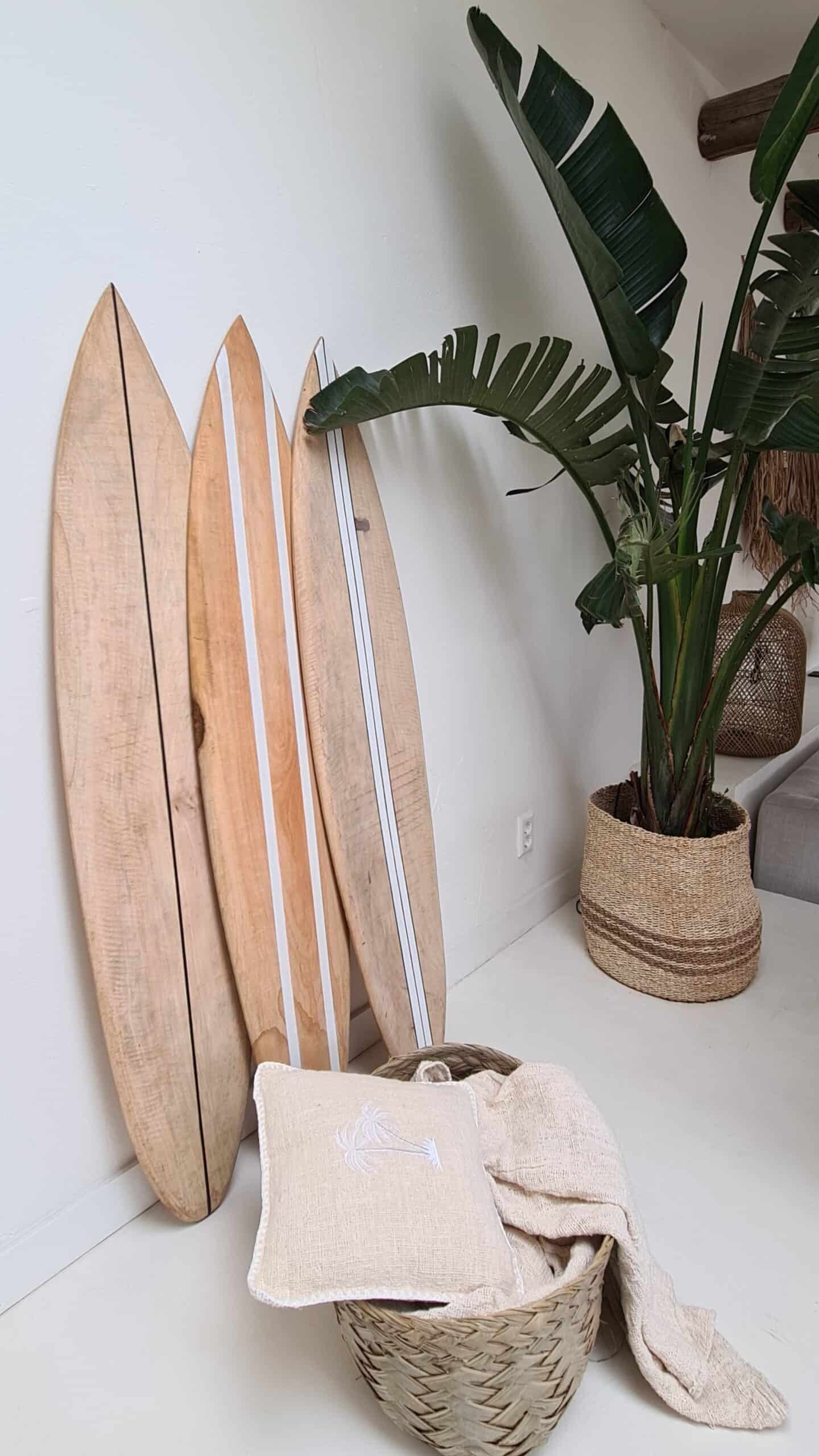 SURFBOARD SINGLE STRIPE