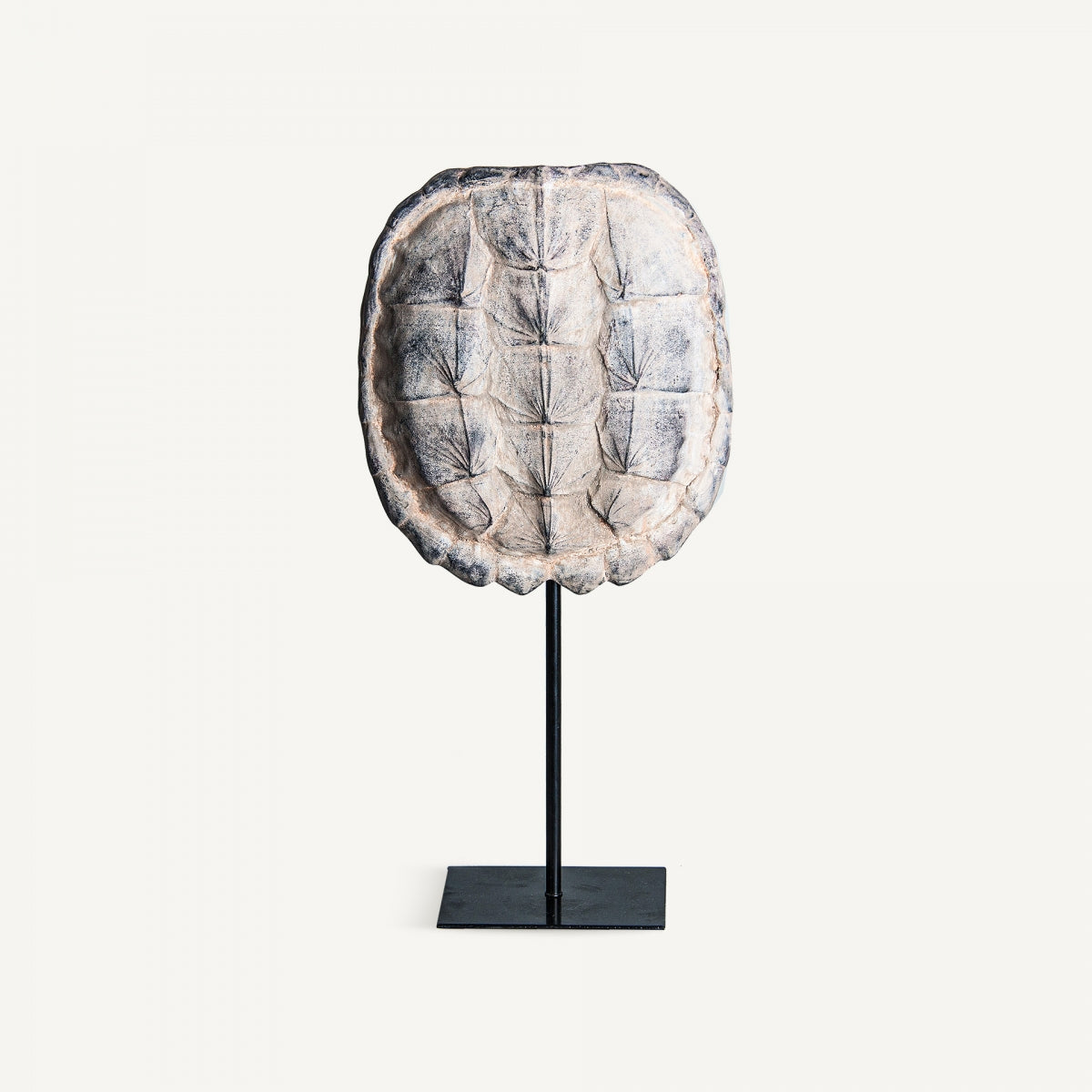 CAPARAZÓN TORTUGA DECORATIVE FIGURE