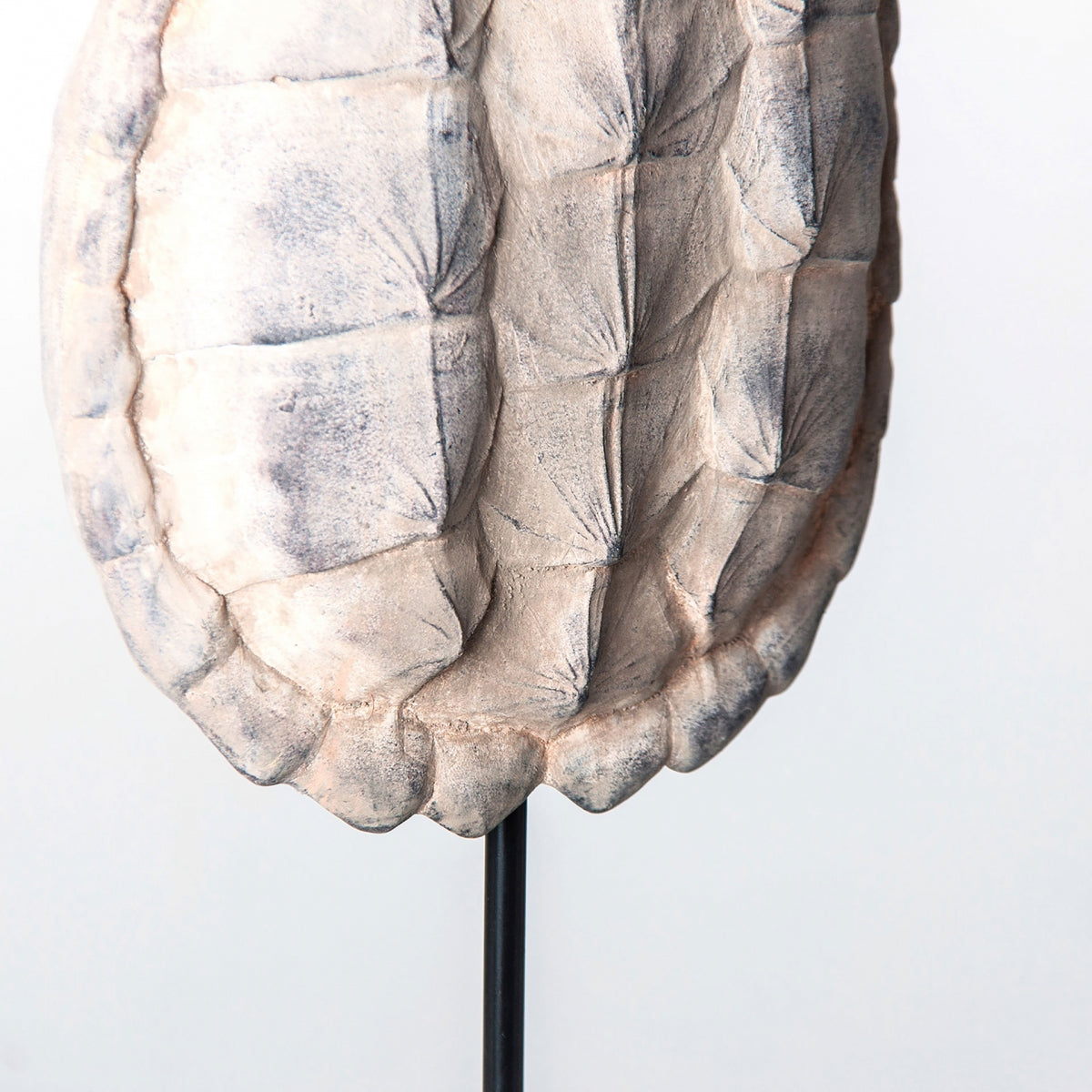 CAPARAZÓN TORTUGA DECORATIVE FIGURE