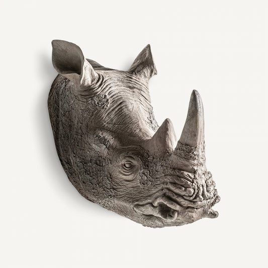 RINOCERONTE BUST
