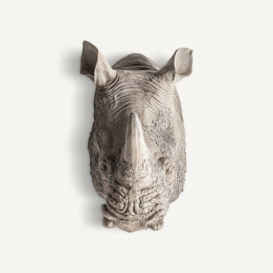 RINOCERONTE BUST