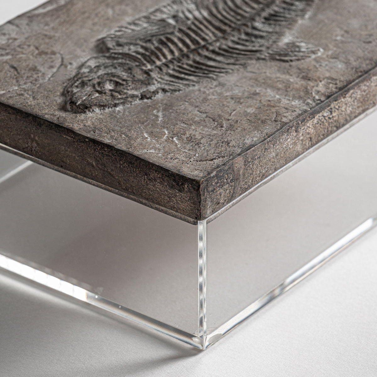 DECORATIVE BOX