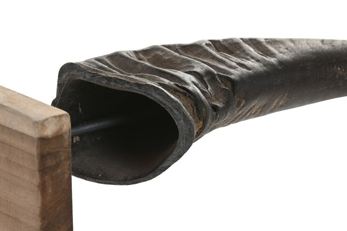 ДЕКОРАЦИЯ БИВОЛСКИ РОГА КОМПЛЕКТ 3