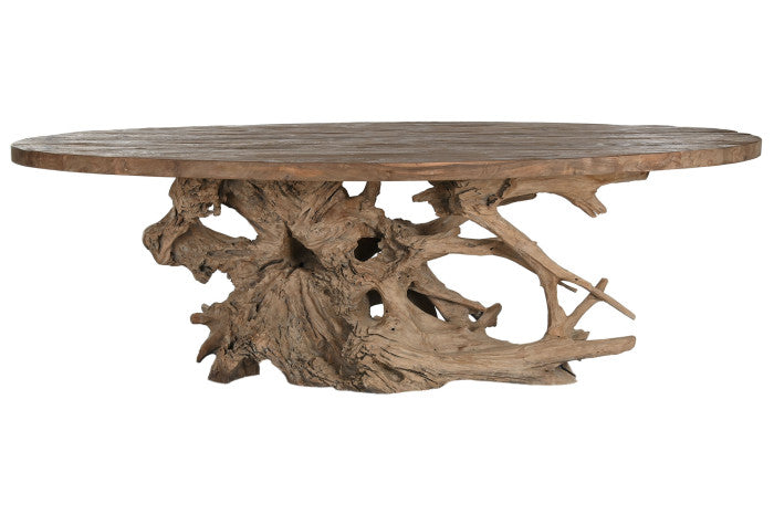 UNIQUE ROOT TABLE 240