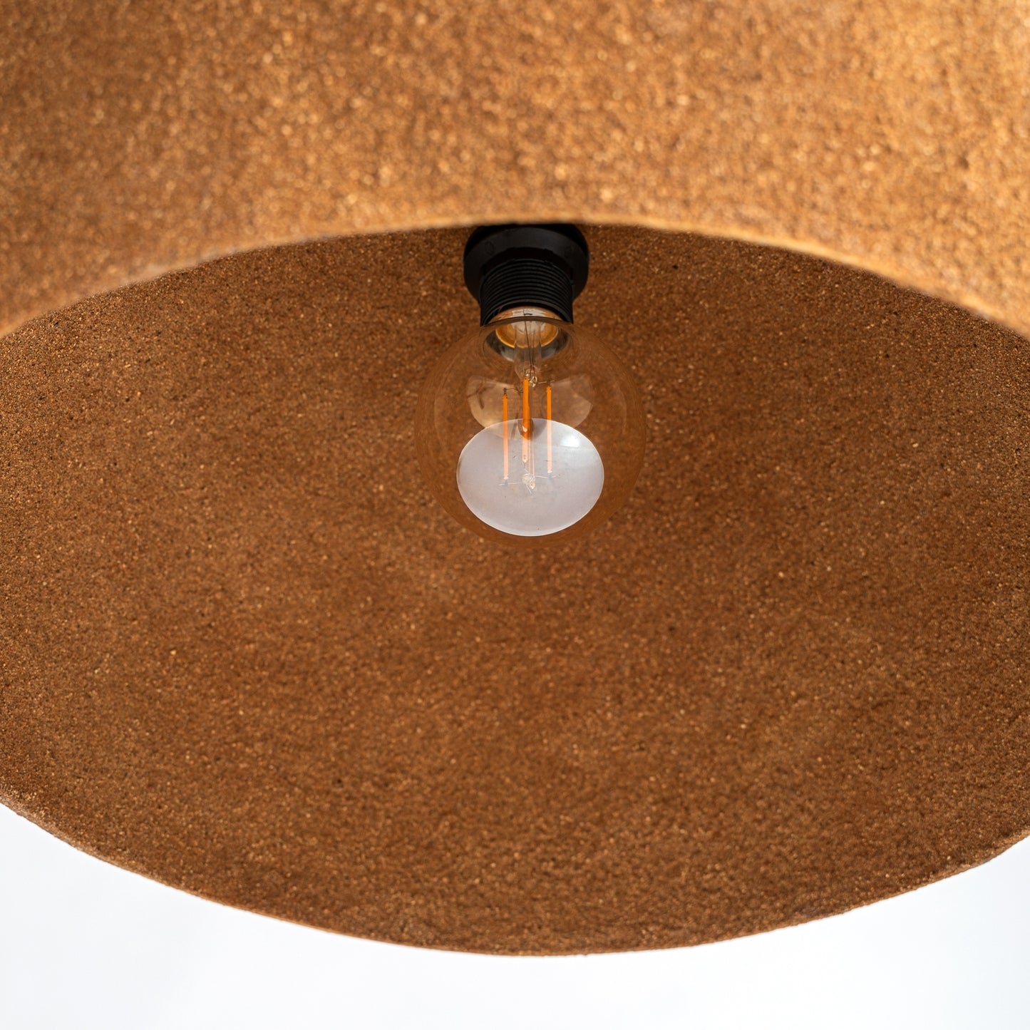 SWOLGEN CEILING LAMP