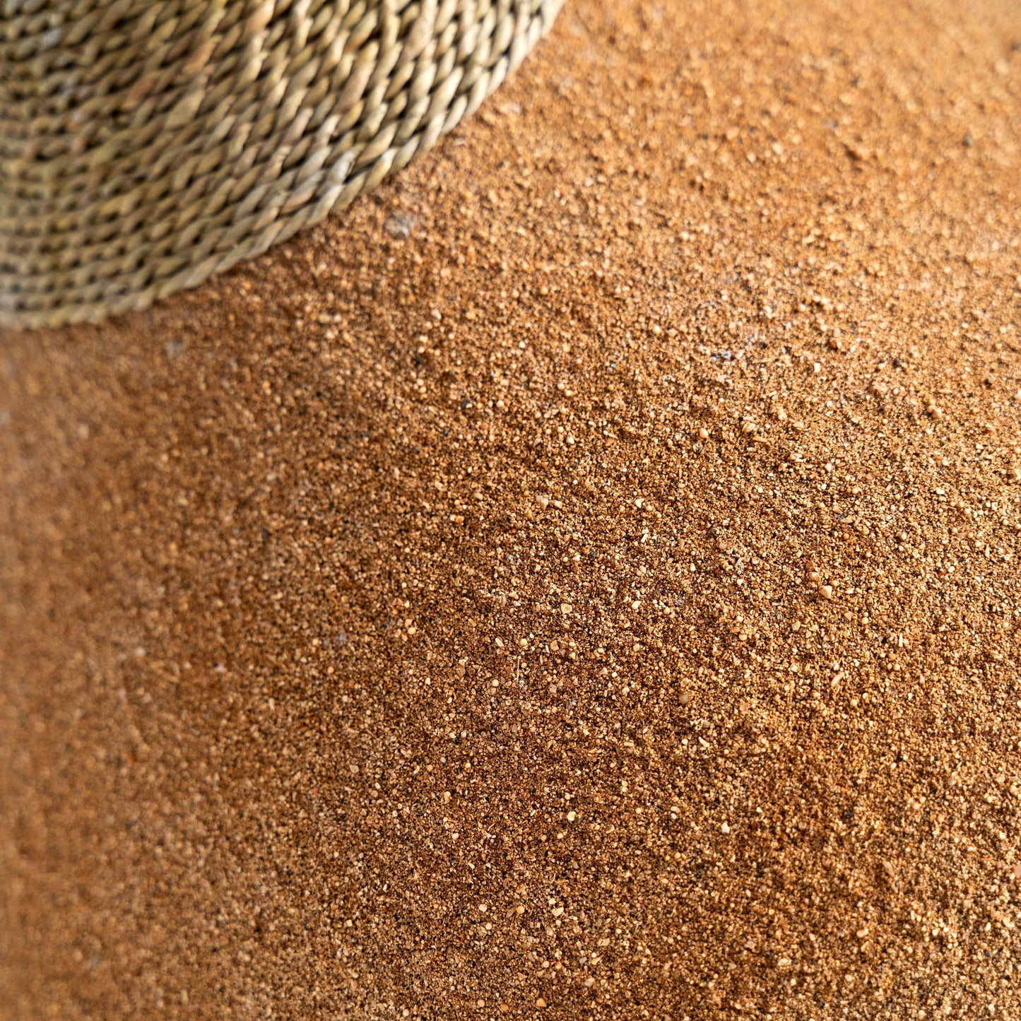 SWOLGEN CEILING LAMP