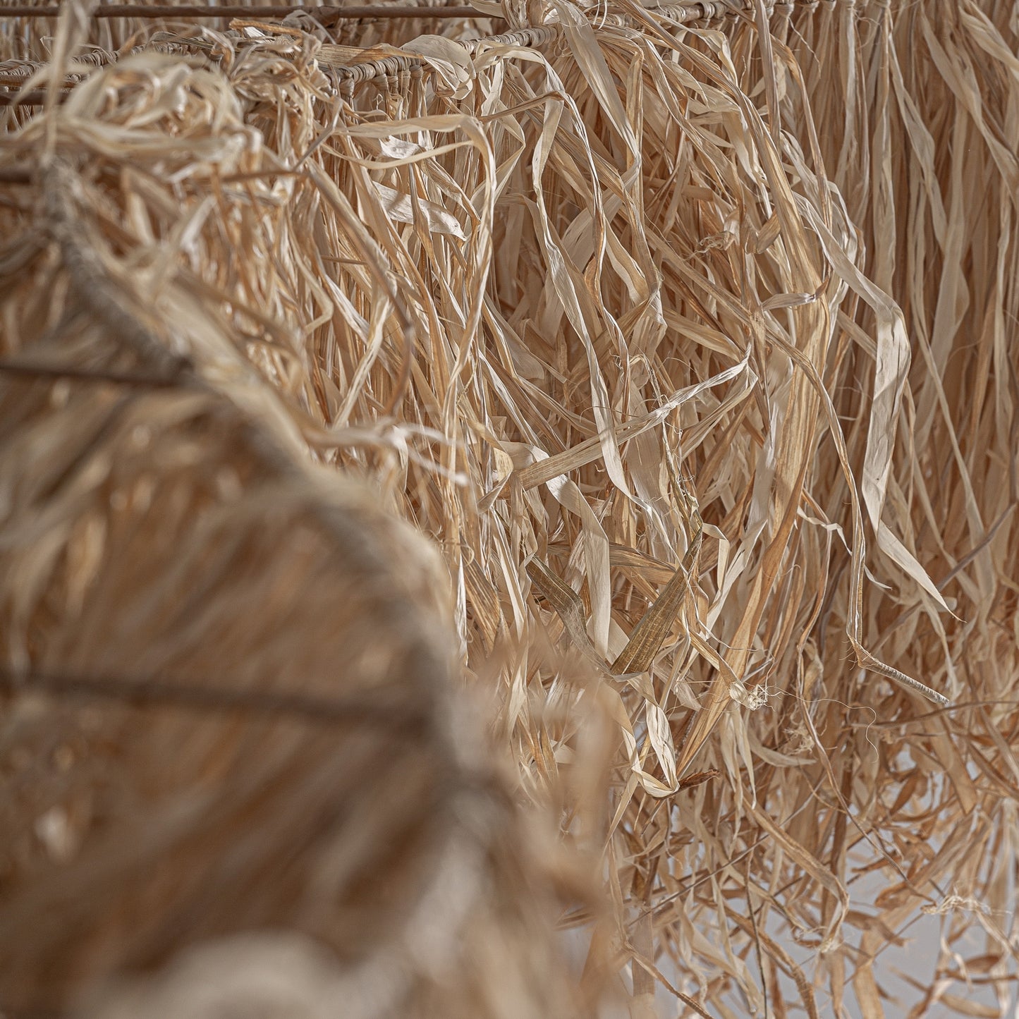 SCULPTURE CEILING LAMP