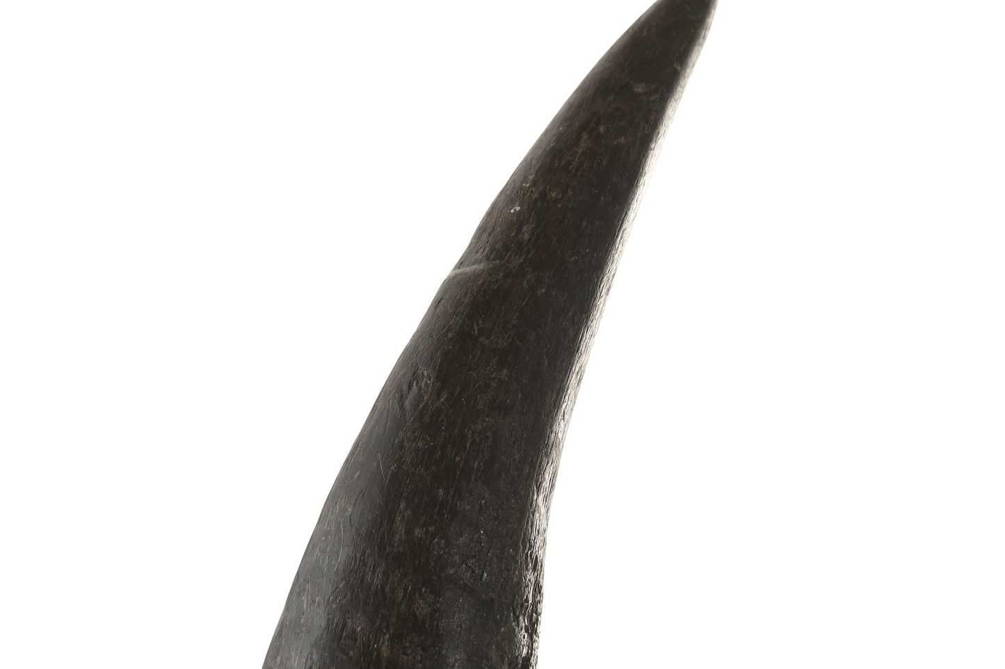 ДЕКОРАЦИЯ БИВОЛСКИ РОГА КОМПЛЕКТ 3